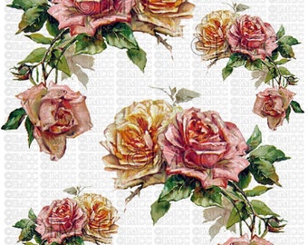Instant Digital Download Cottage Cabbage Pink Roses Yellow Flowers Floral Vintage Era Transparent Background PNG Instant Digital Download Cottage Cabbage Pink Roses Yellow Flowers Floral Vintage Era Transparent Background PNG