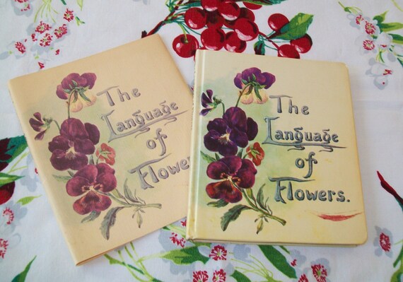 the language of flowers novel