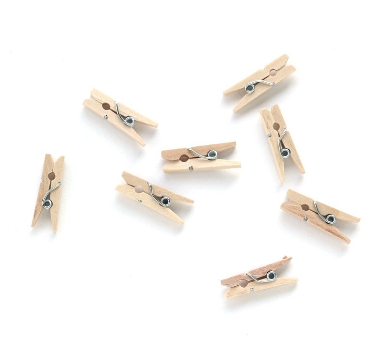 Mini Clothespins 25 Natural Miniature Clothespins