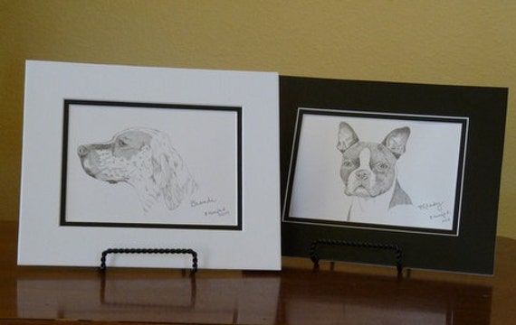 English Setter Signed Personalized Original Pencil Drawing