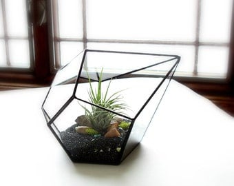 Glass Terrarium with Air Plant, Geometric Terrarium, Geometric Planter