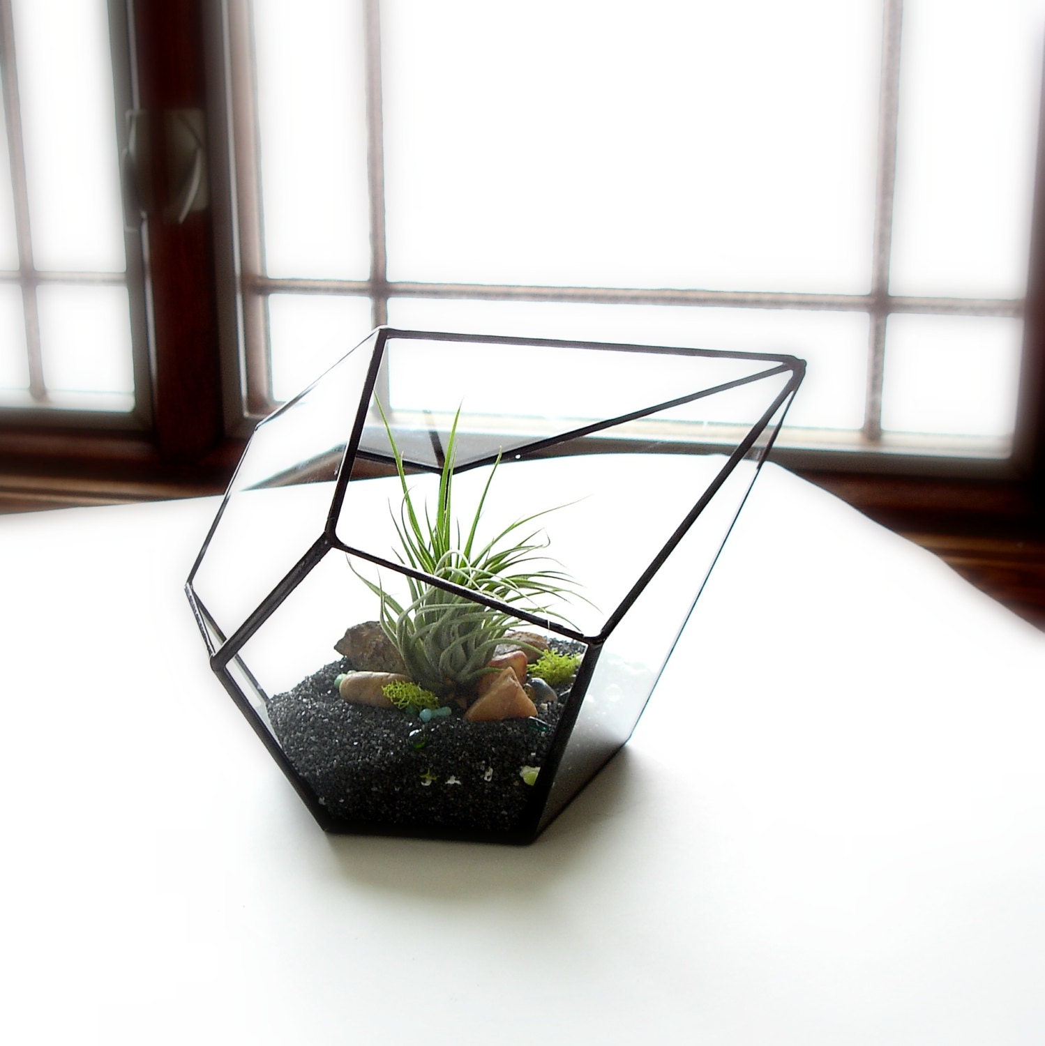 Glass Terrarium with Air Plant Geometric Terrarium Geometric