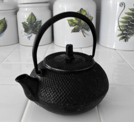 Single Serving Cast Iron Teapot with Stainless Infuser