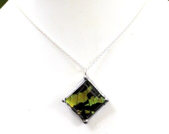 Sunset Moth Square Domed Pendant, Real Moth Jewelry