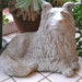 concrete sheltie dog statue