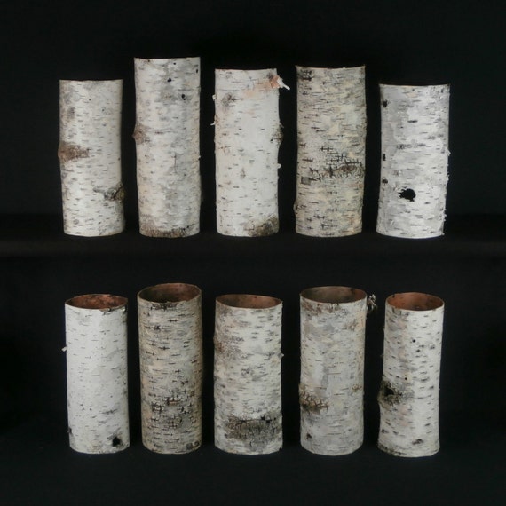 10 Birch Bark Tubes .... Natural Decor