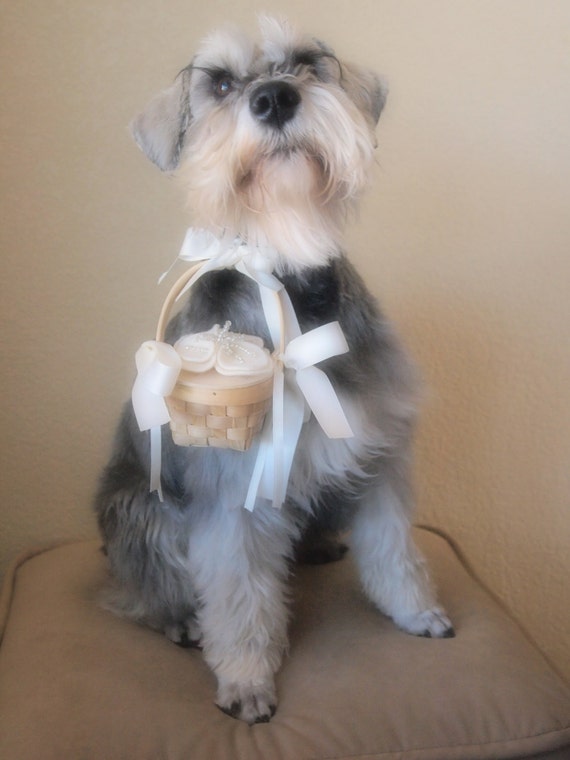 Dog Flower Girl Wedding Basket Ivory Reserved for Karen