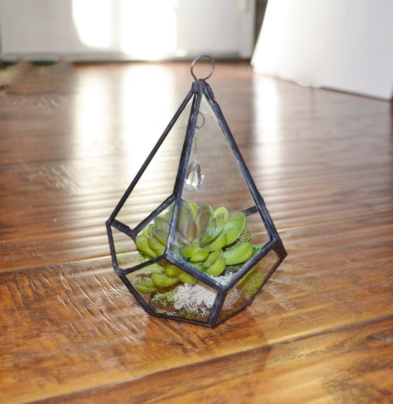 Terrarium Small Hanging Terrarium Glass Terrarium by jacquiesummer