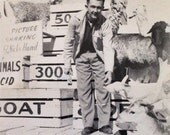 Original Antique Photograph Man At Petting Zoo