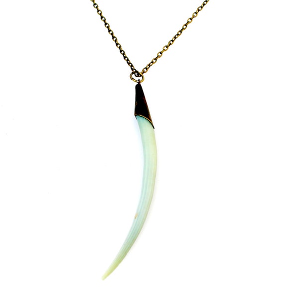 Items similar to Dentalium shell necklace on Etsy