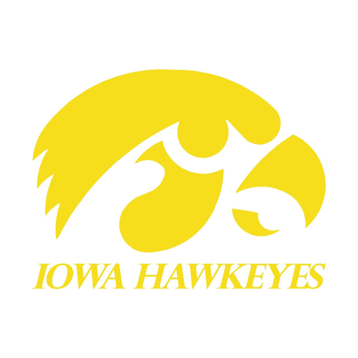 Download Iowa Hawkeyes Cornhole Decals 18 pair by LifeExpressionsVinyl