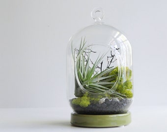TOP SELLER Green Fan Tabletop / Hanging Air Plant Terrarium - Air Plant, Tillandsia, Living Home Decor, Gift, Hanging Terrarium, Reindeer