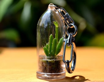 Coral Cactus Live Terrarium Keychain / Cactus Keychain / For Her Keychain / Keychain Lanyard / Boyfriend Gift / Girlfriend Gift