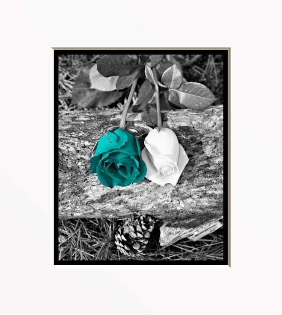 Black White Teal Wall Art Photography/Rose by LittlePiePhotoArt