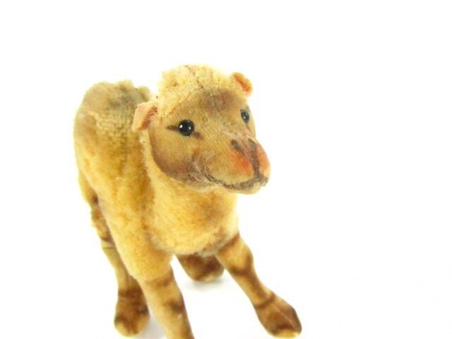 steiff camel