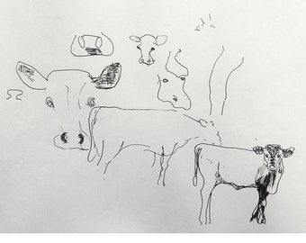 Black and white drawing, Ink, Sketch, COW CALVES in the FIELD, Artistic print, After original drawing by Cosé Manzano, limited edition of 5,