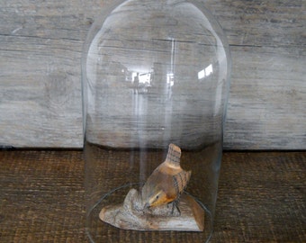 Large Glass Dome 10 Inches Tall Glass Cloche for Collectible Display Showcase Glass Cover