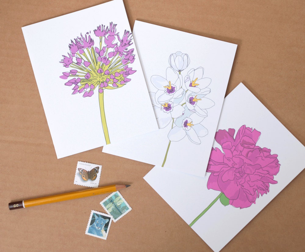 Floral Note Cards Set of 3 // Illustrated Flowers // Note Card