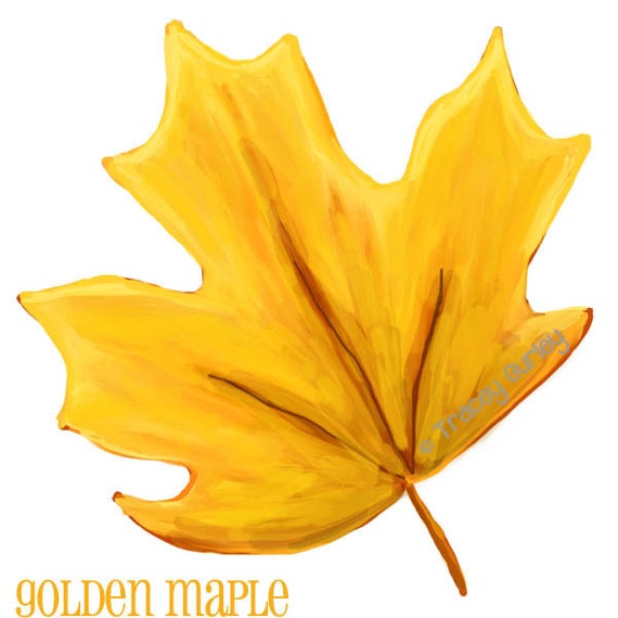 clip art gold leaf - photo #23