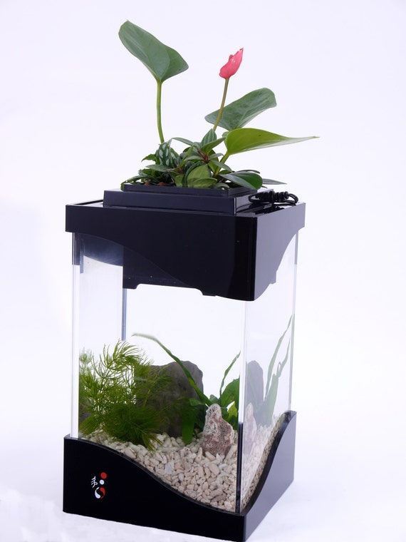 Yi 6 Aquarium Planter, fish tank, plant, green, decor, gift, creative