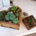 Wood Heart Succulent Planter Box by PurpleThumbNotions on Etsy