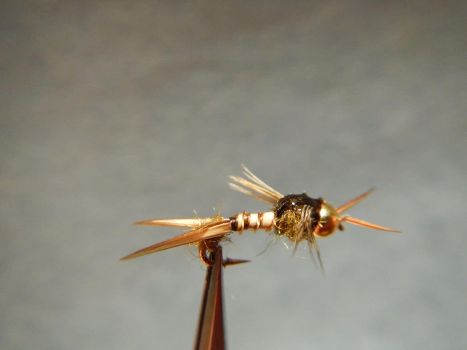 Micro Stonefly Nymph 6 flies