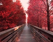 Romantic photograph Holding hands, Red Alley, Boardwalk Red Wall decor Romantic photograph Holding hands, Red Alley, Boardwalk Red Wall decor