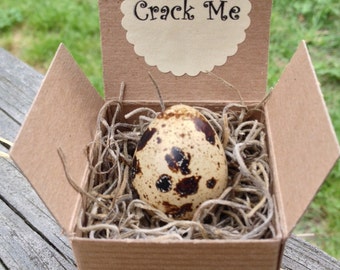 Quail Egg Personalized Pregnancy Announcement/Gender Reveal