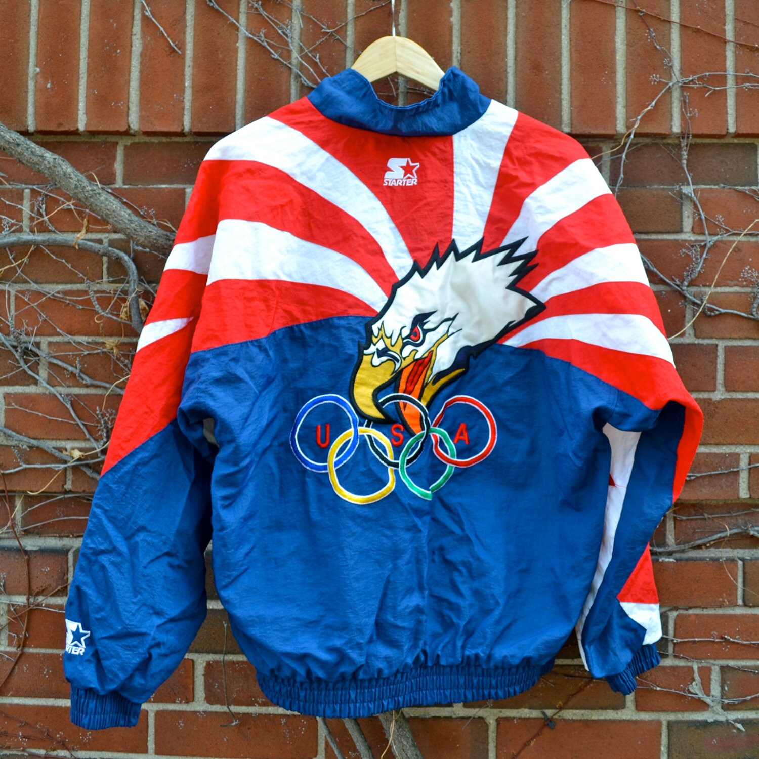 Team USA Olympics America Bald Eagle windbreaker