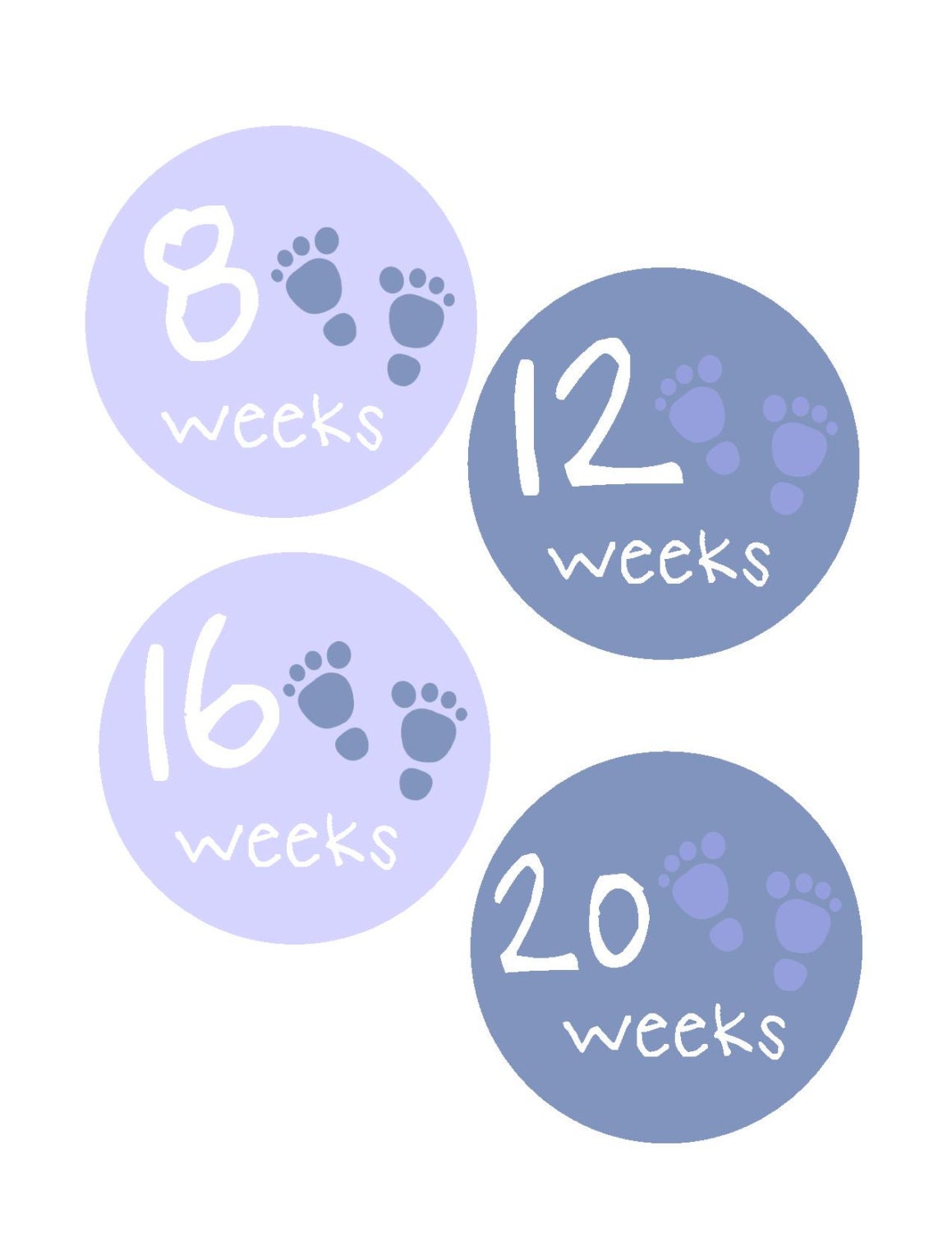 Weekly Pregnancy Stickers Pregnancy Announcement Pregnancy