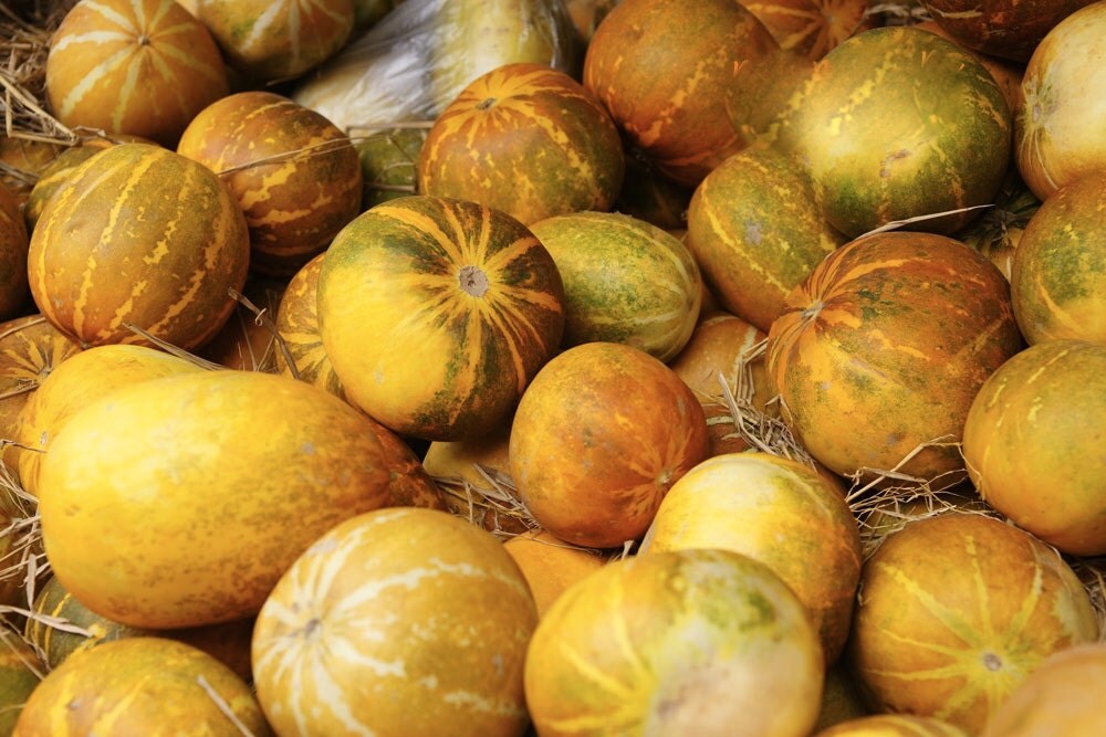 35 seeds round thai musk melon muskmelon tropical fruit by stseed