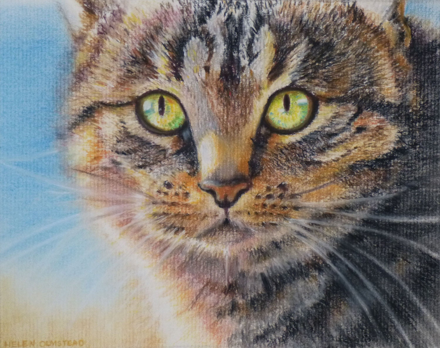 Items similar to ORIGINAL Chalk Pastel Cat Drawing on Etsy