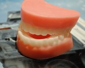 Handemade False Teeth Soap - Dentures, Practical Joke, Gag, Prank