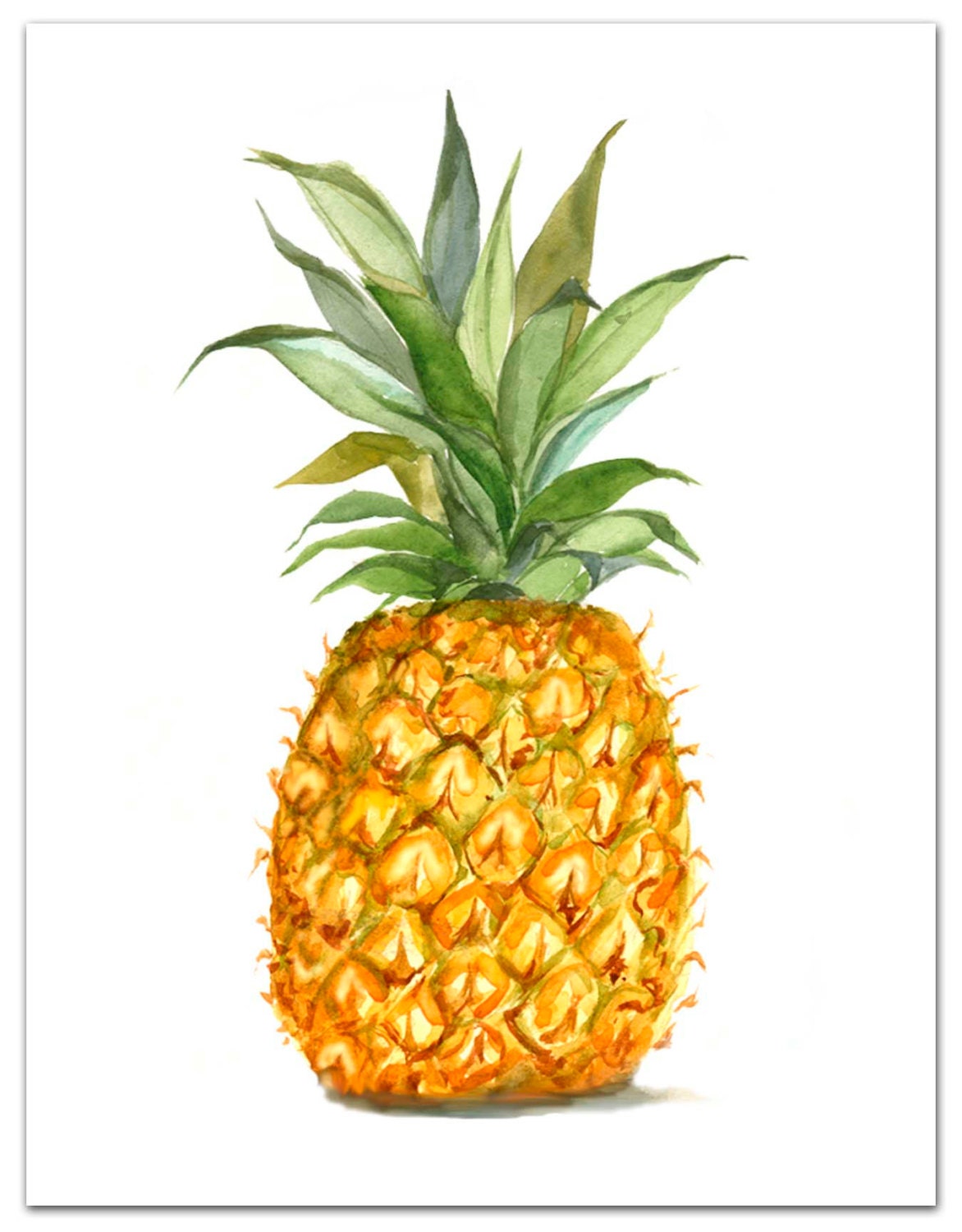 8x10 pineapple Giclee print. new home gift. Pineapple