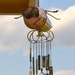 Ida the Insect-a-Bot, a Recycled Robot Wind Chime