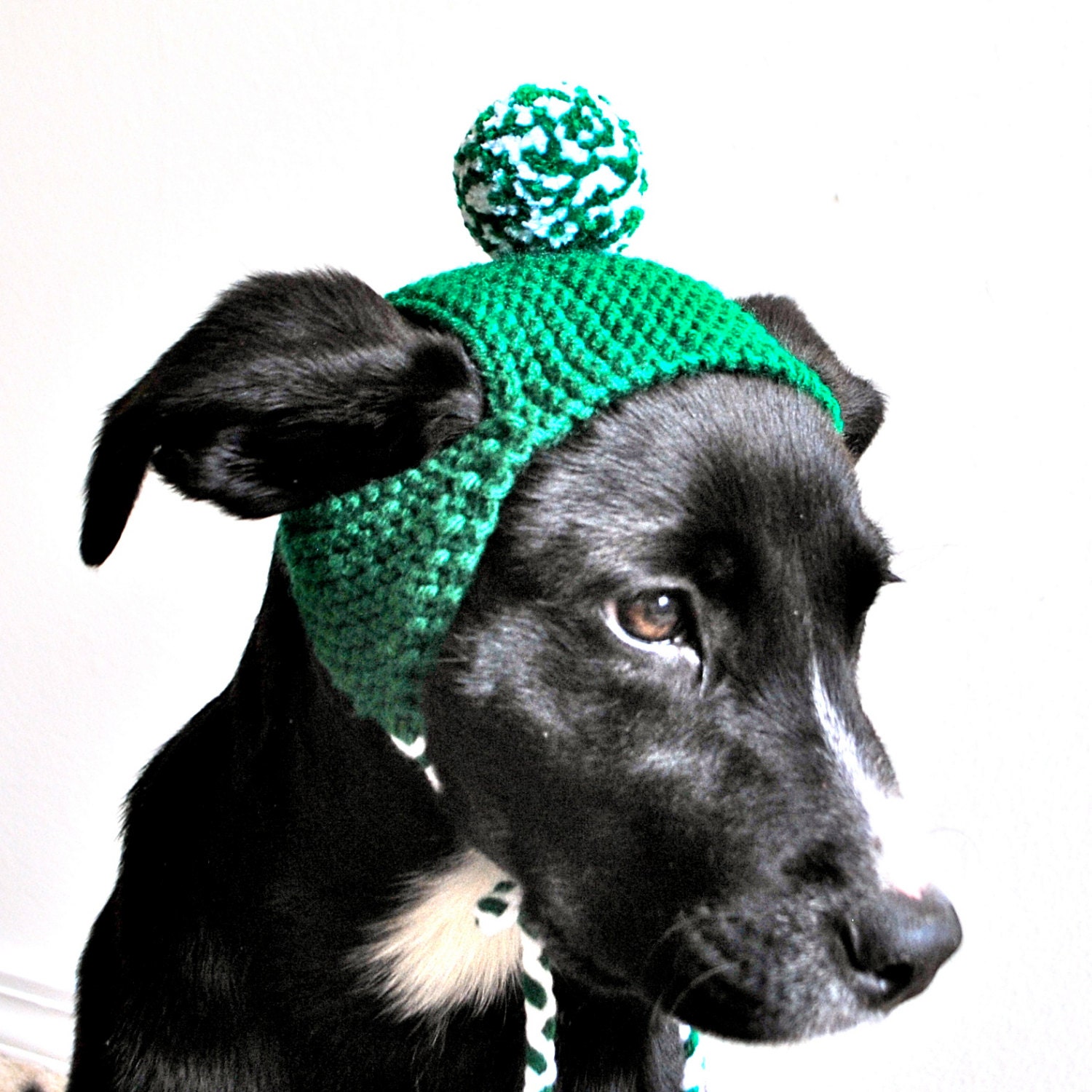 Pom Pom Dog Hat Green and White Hand Knit Dog Costume