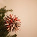 Upcycled Polish Star Ornament