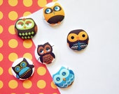 Set of 6 Funky Fun Retro Owl Fabric Button Refrigerator Magnets