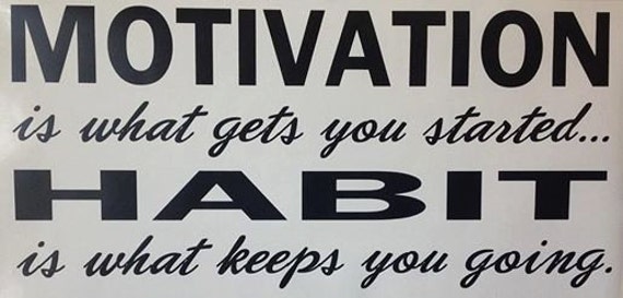 Motivation Is What Gets You Started. Habit Is What By Wallopalooza