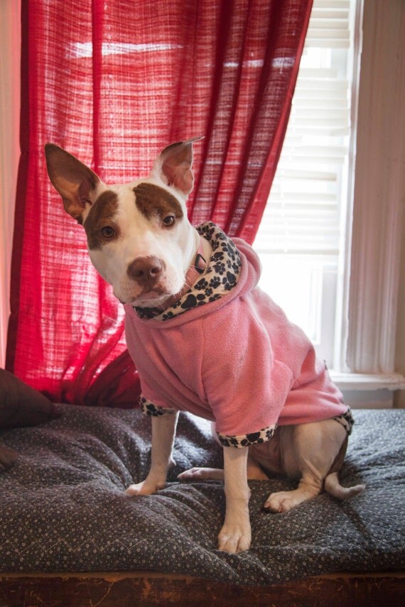 Items similar to Extra cozy dog hoodie! on Etsy