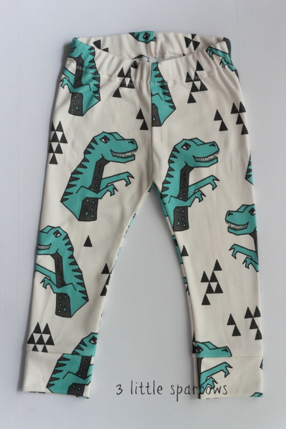 Items similar to Organic Cotton Dinosaur Leggings. Baby, toddler, boy
