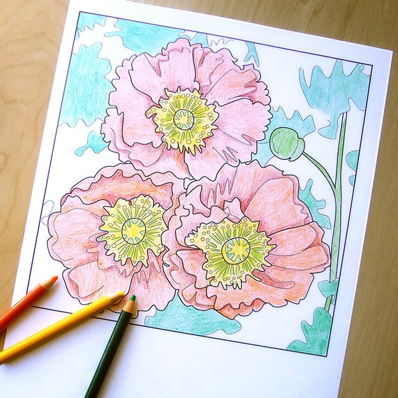 Download poppies coloring page poppy coloring sheet printable