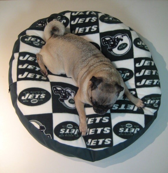 Funny Dog Accessories For Every Canine Personality