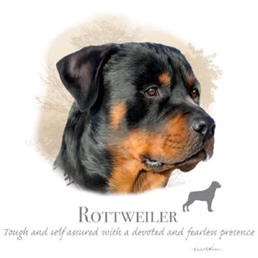 Tête de chien ROTTWEILER Phrase sur un 18 x 22 pouces panneau