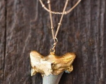 Gold Shark Tooth Necklace