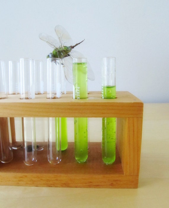 vintage wood test tube rack spice rack glass test tubes desk