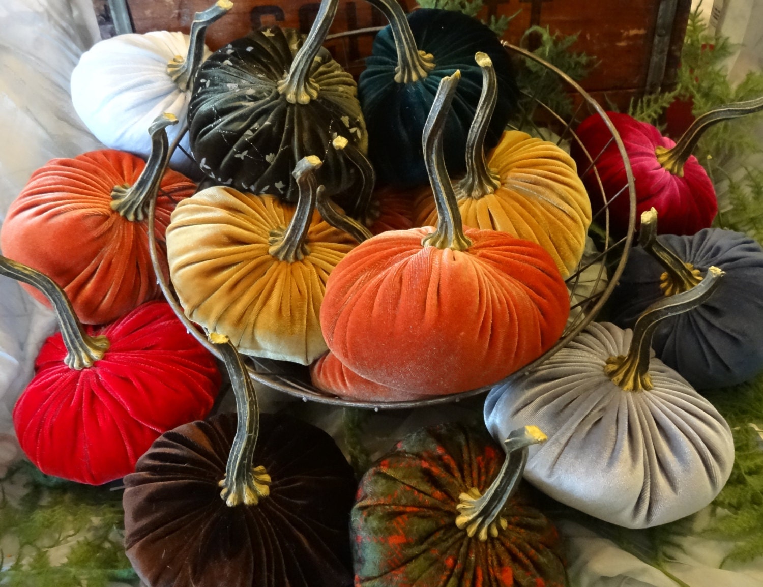 pumpkin stem