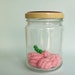 Brainy Terrarium with Caterpillar Green Worm