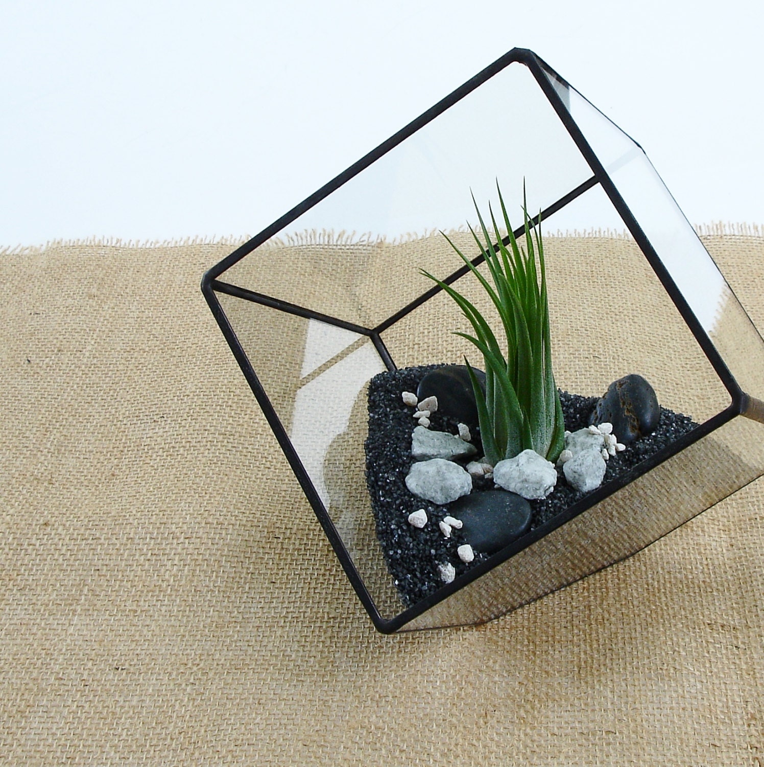 Terrarium Cube Square Air Plant Terrarium DIY Kit