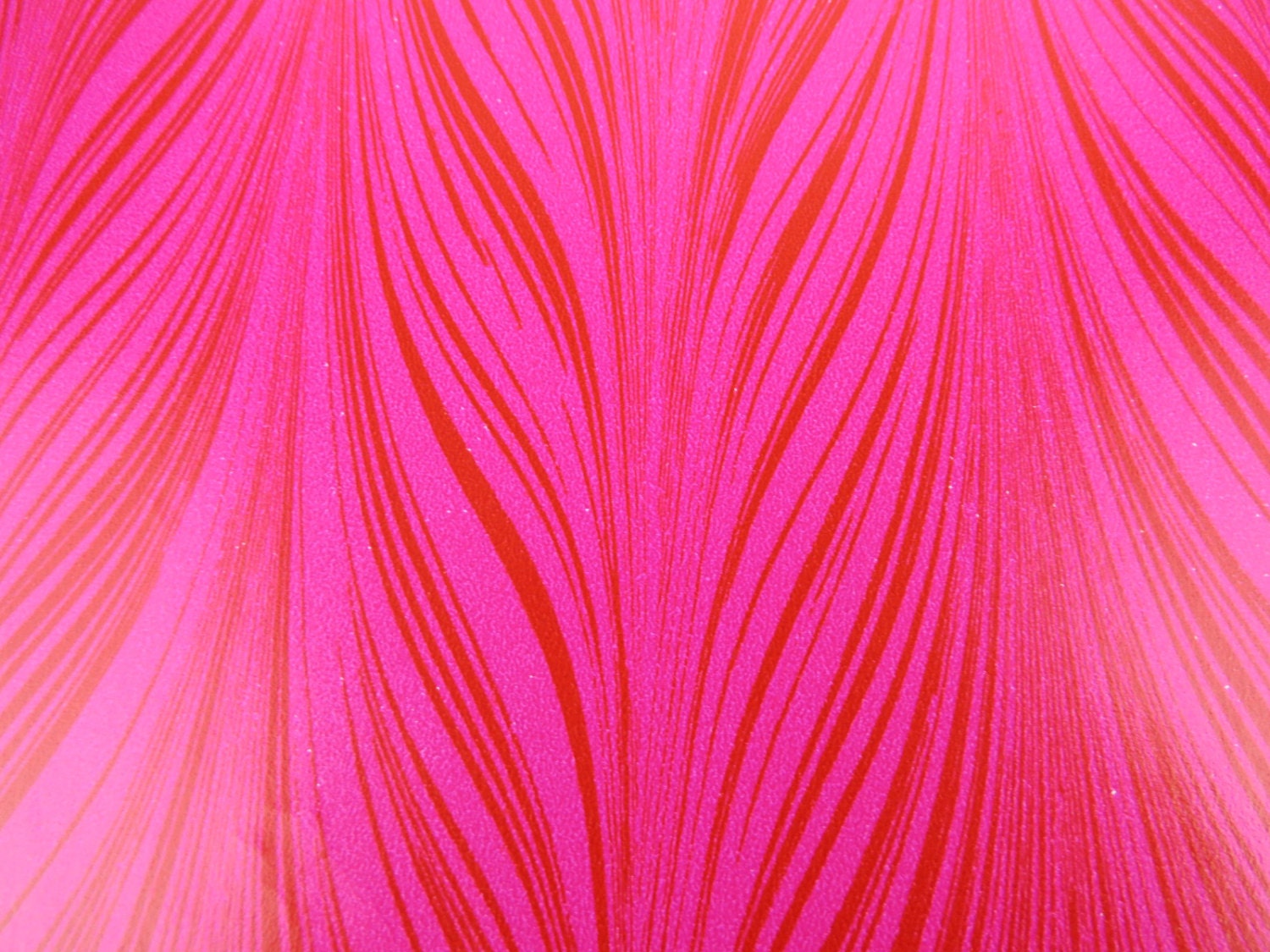 20 Retro Neon Pink Peacock Feather Paper Scrapbooking
